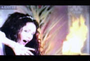 haremvideo5.jpg