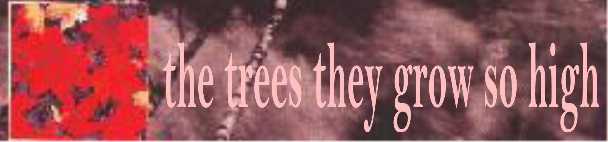 treesgrowhighsign.jpeg